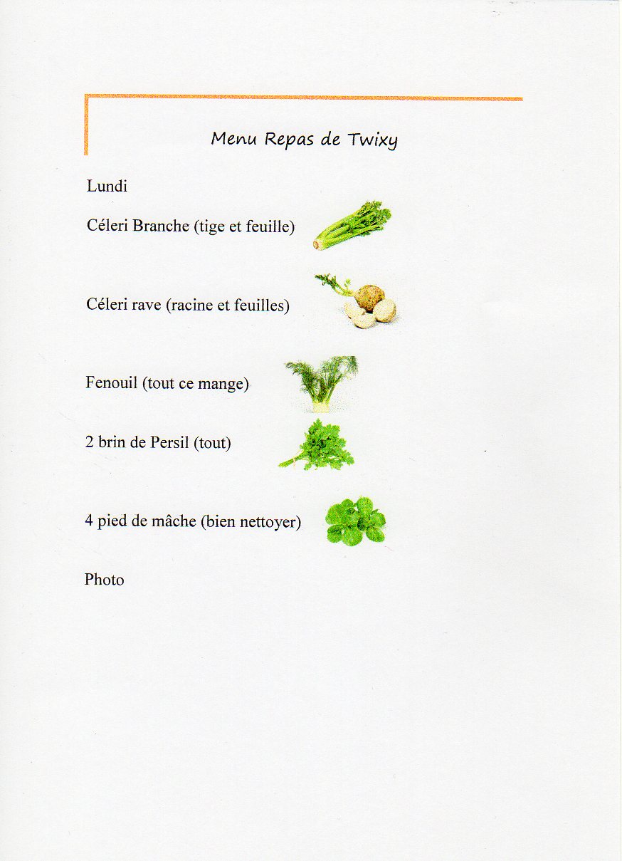 menu twixy_0001.jpg