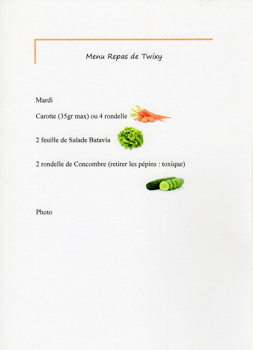 menu twixy_0002.jpg