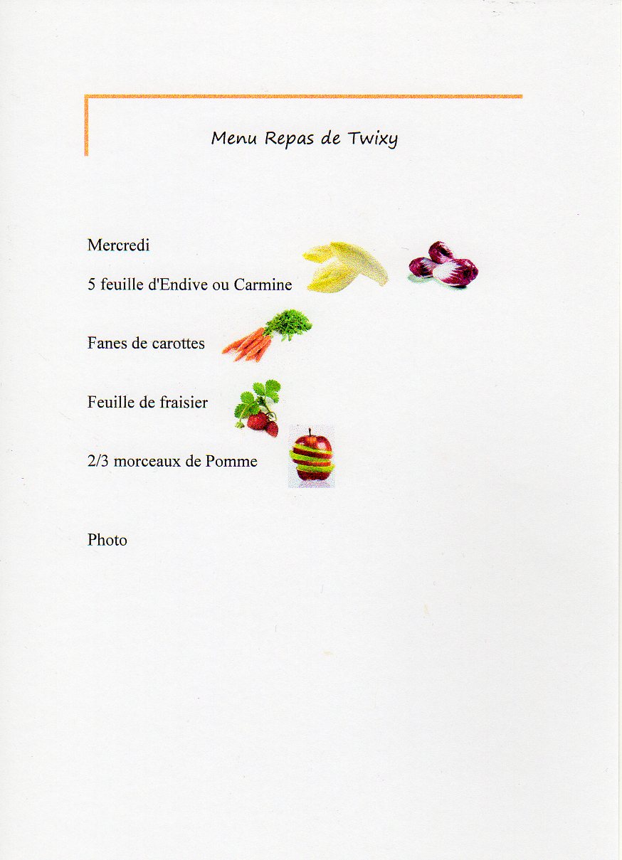 menu twixy_0003.jpg