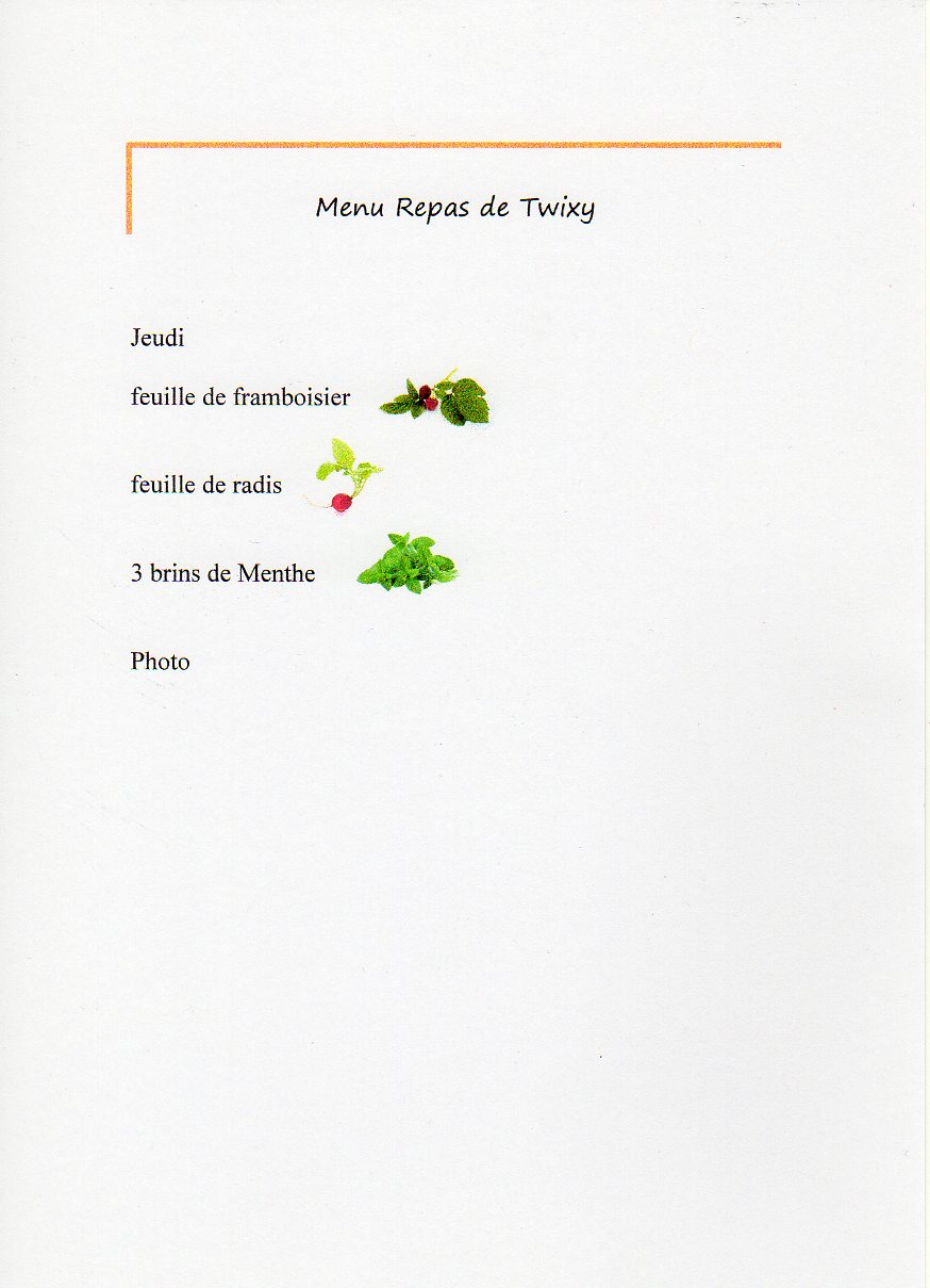 menu twixy_0004.jpg