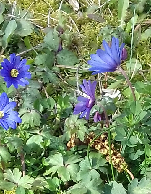 20180324_115730-1.jpg