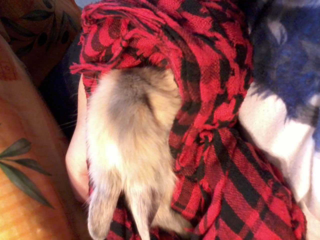 20131130_112641.jpg