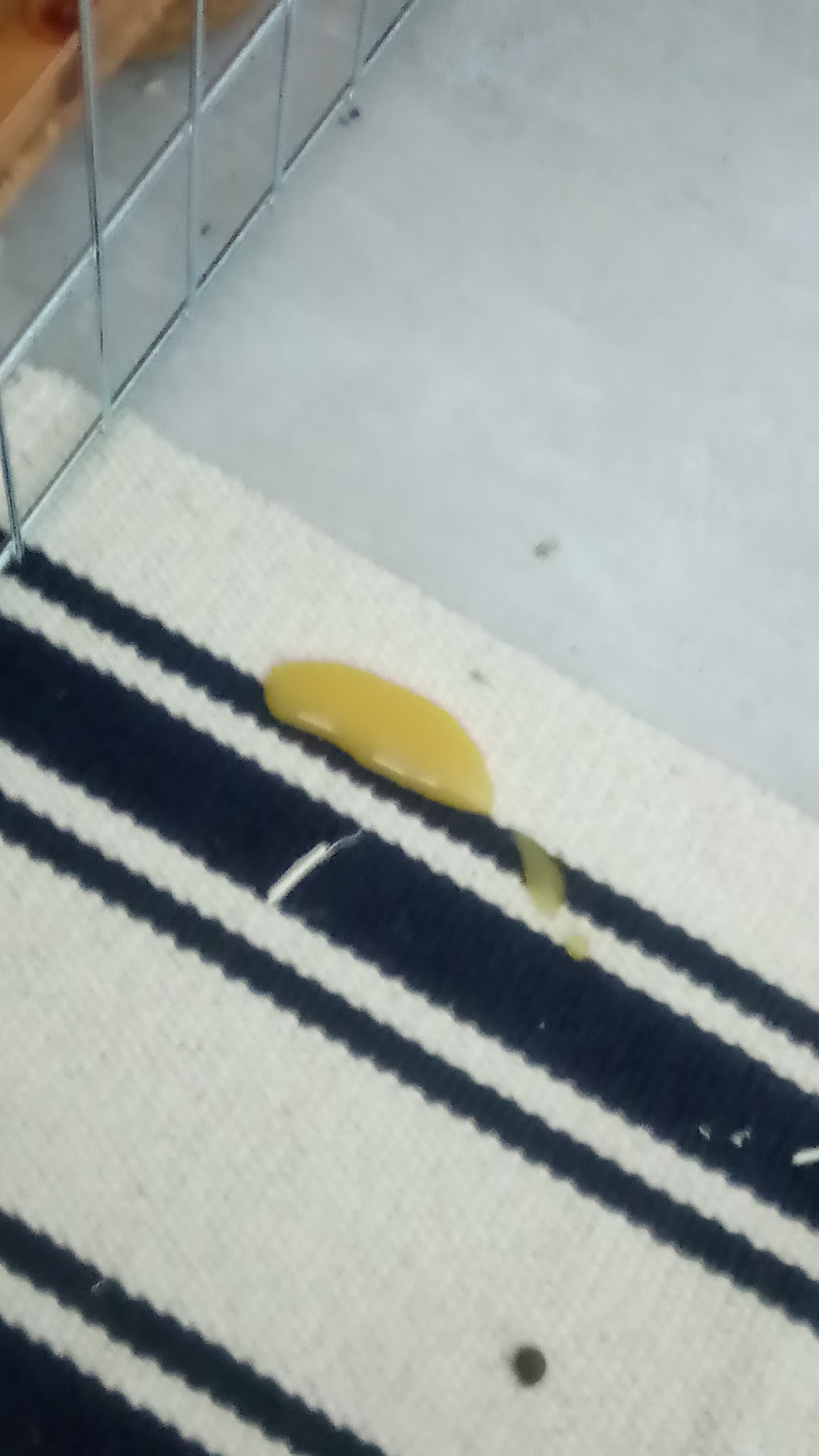 received_1860542603967317.jpeg