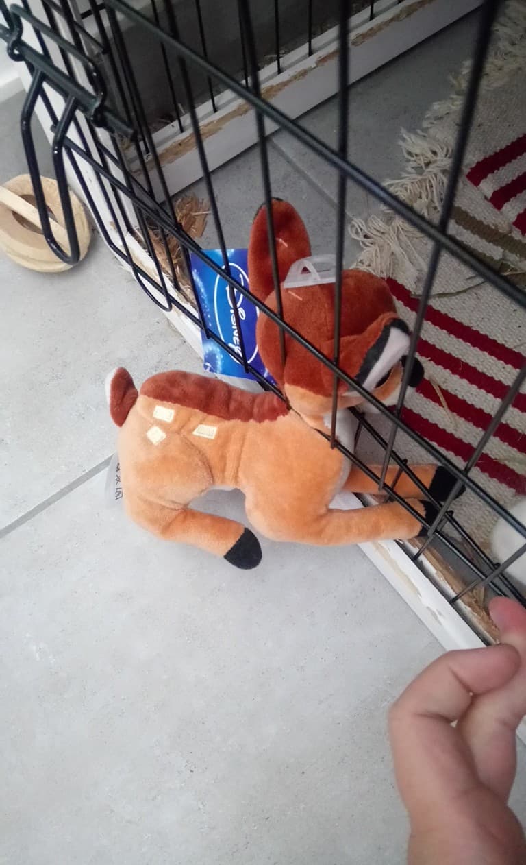 received_1906642732963751.jpeg