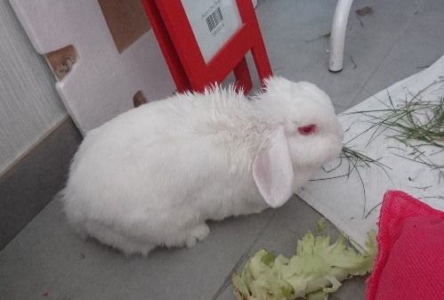 _20180826_114613.JPG