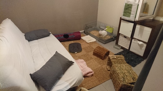 _20180826_213722.JPG