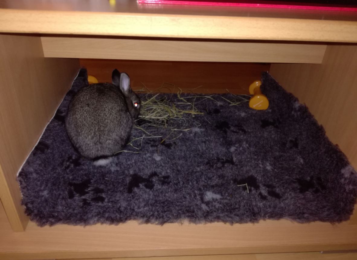 Drybed tapis.JPG