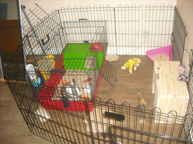 novembre 2011.JPG