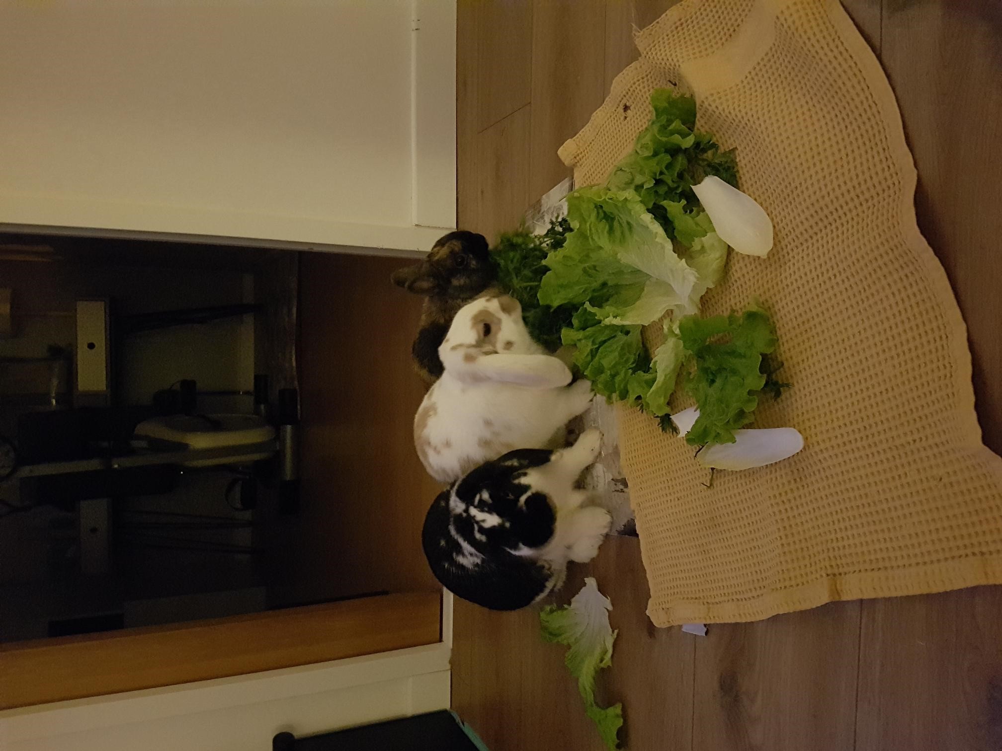 repas à 3.jpg