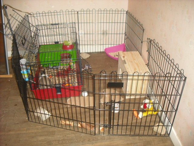 novembre 2011 (36).JPG