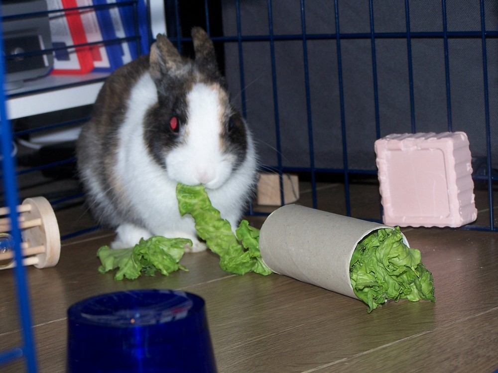 100_0754.JPG