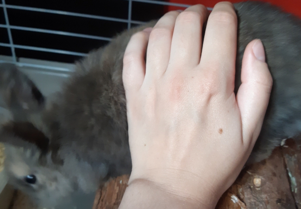 20190608_182630.jpg