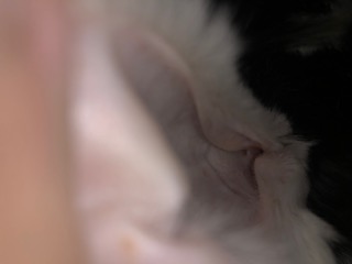 CC3D13F6-A97B-4966-B5BE-1AEFA0FA96E1.jpeg