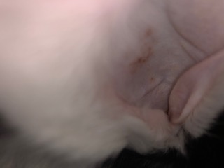 82D081A9-C71B-4D95-801E-CC8A2460E74B.jpeg