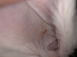 FD39E098-0A95-4CAA-AA45-9B9B6852BBA1.jpeg