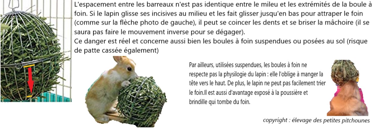 boiuleàfoin.jpg