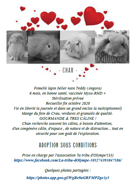 CHAN Tribu d'Olympe.PNG