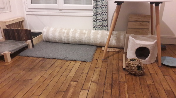 20210129_010609.jpg