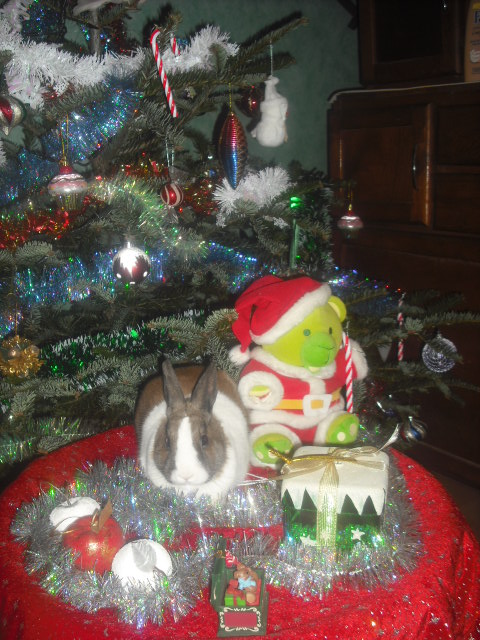 DSCF0045.JPG
