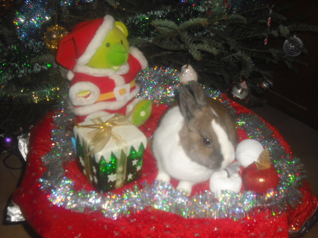 DSCF0070.JPG