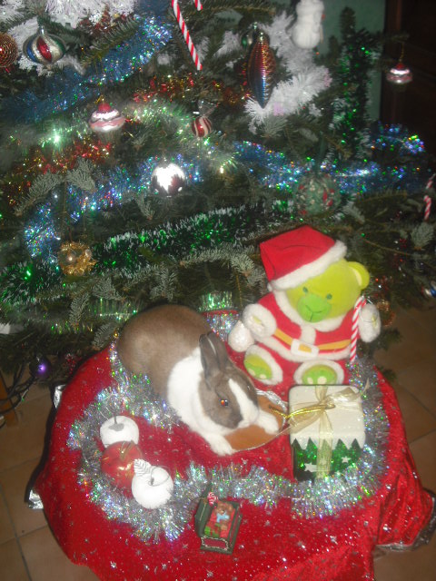 DSCF0057.JPG