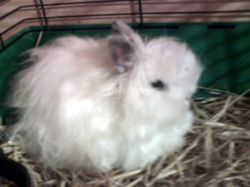 PICT0001.JPG