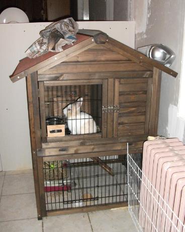 habitat pompon.jpg