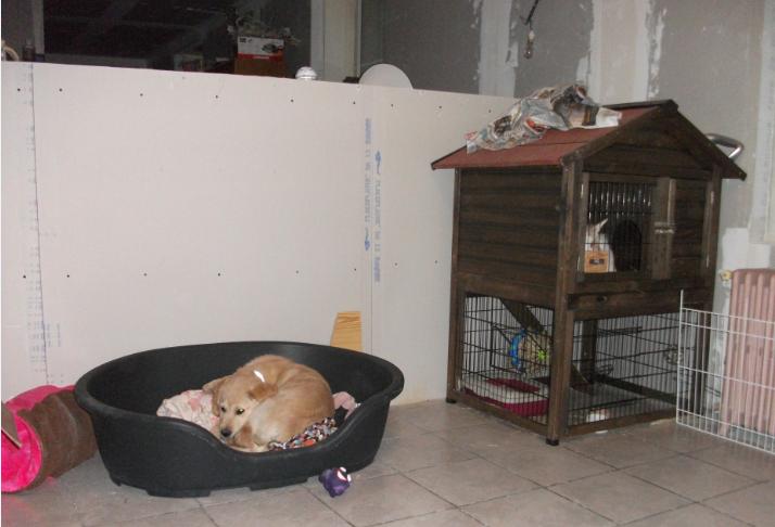 habitat pompon et gaya.jpg
