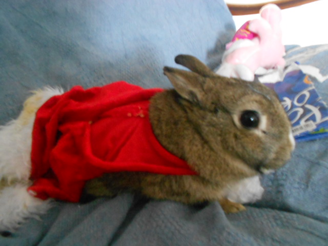 Browni♥ 060.JPG