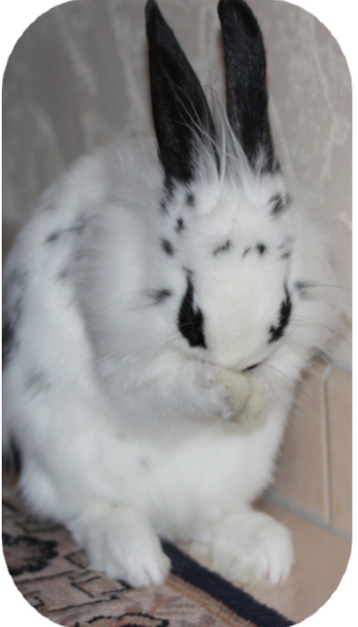 jUMPY (2).jpg