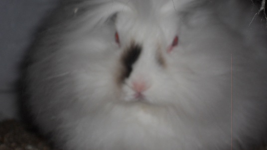 DSCN1786.JPG