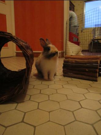 Happy dans son espace.jpg