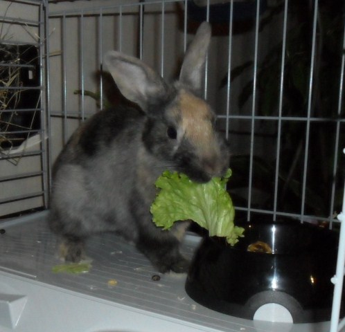 SAM_0734.JPG