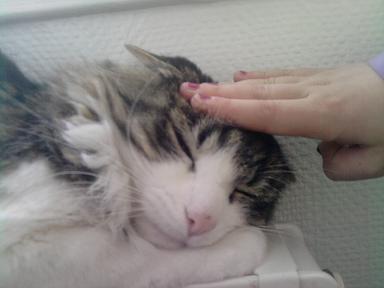 chat 2.jpg