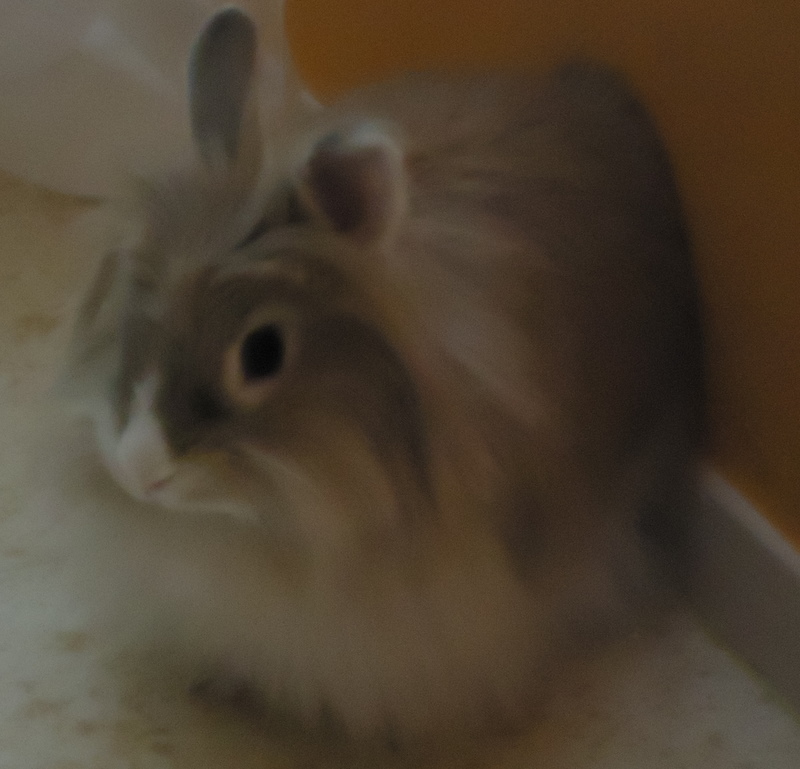 DSC00002-1.JPG