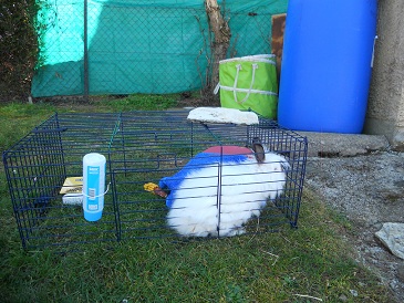 DSCN2075.JPG