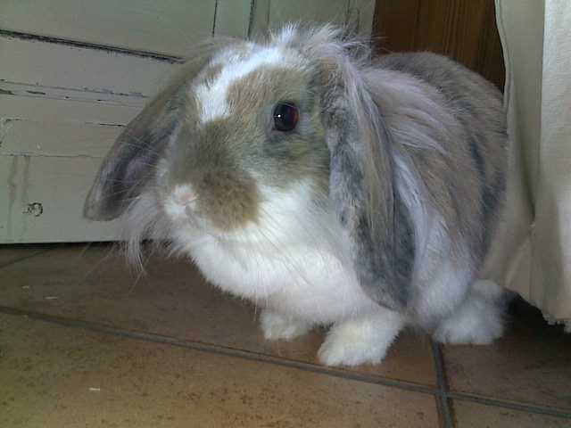 04042012350.jpg