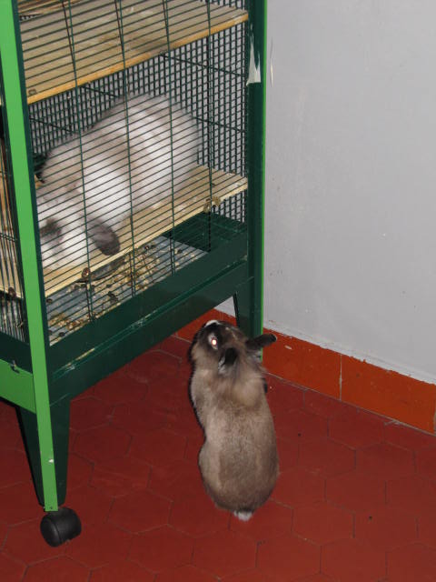 IMG_3904.JPG