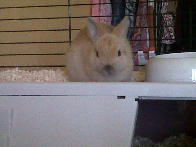 spunky 4 eme jour.jpg