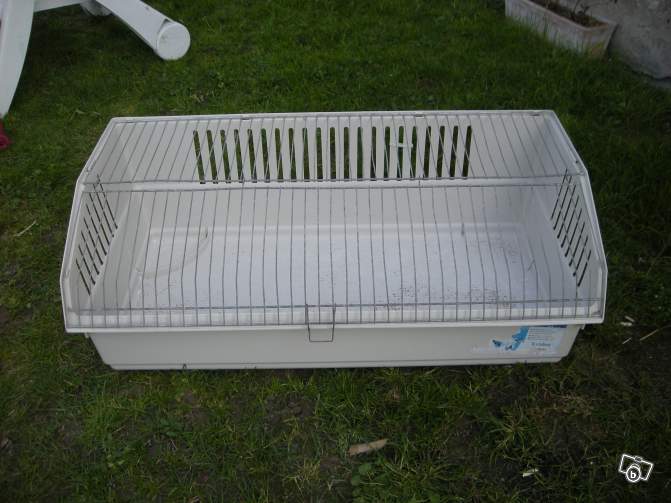 cage 15€ lbc.jpg
