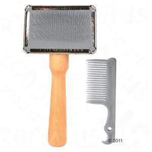 brosse 2,99 zoo plus.jpg