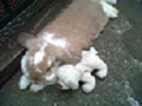 IMG00120-20120601-1258.jpg
