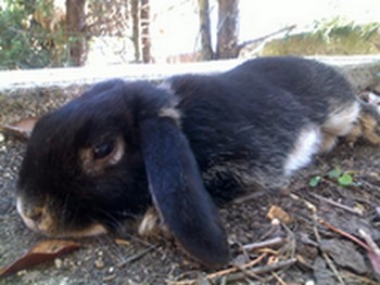 02072011231rere.jpg