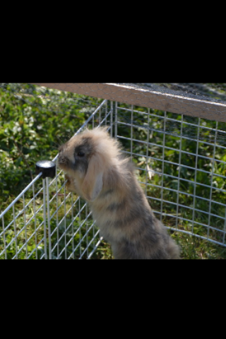 IMG_3020.PNG