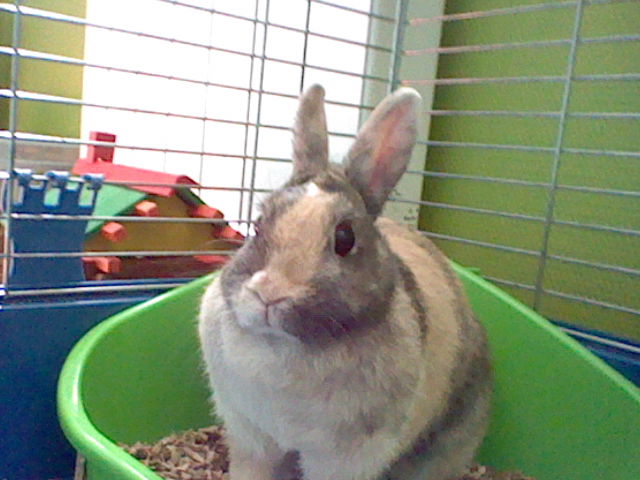 HNI_0025_MPO.JPG