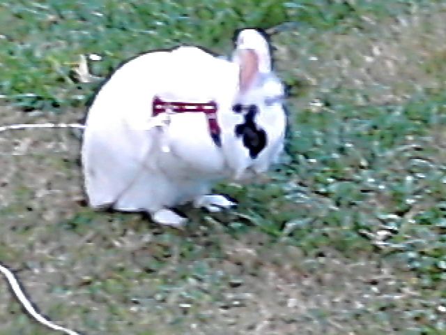 100_0802.JPG