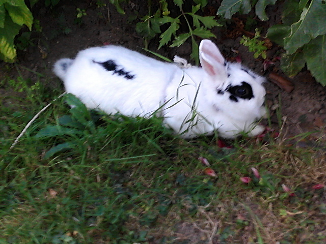 100_0832.JPG