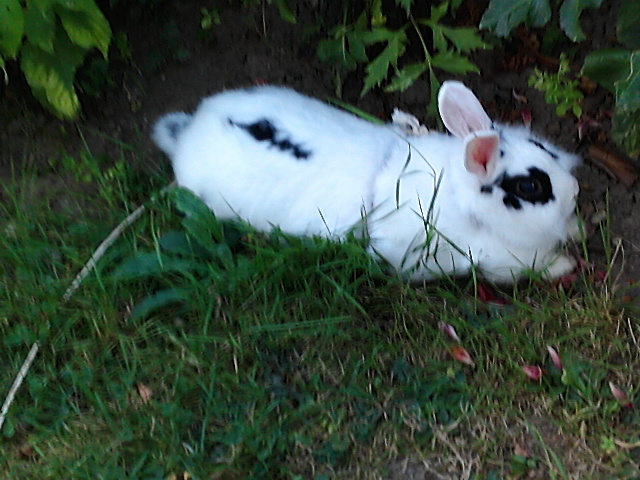 100_0828.JPG