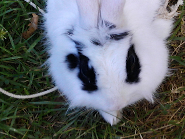 100_0758.JPG