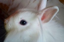 Mon bébé !.jpg